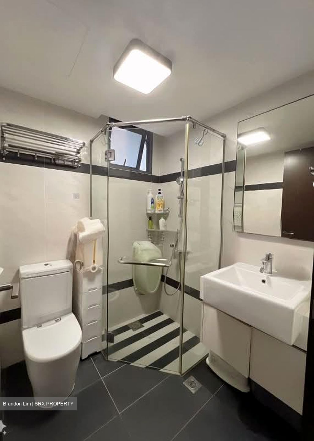 Symphony Suites (D27), Condominium #585088251